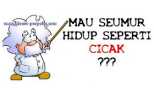 Pre1